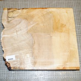EU Sycamore fiddleback, approx. 340 x 300 x 48 mm, 2,9 kg