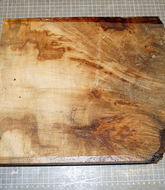 Bergahorn Riegel, ca. 340 x 300 x 48 mm, 2,9 kg