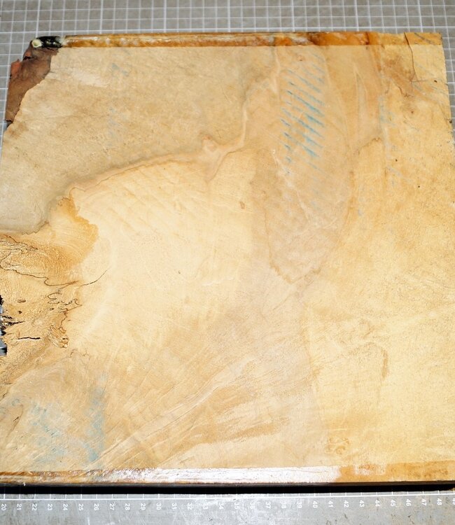 Bergahorn Riegel, ca. 300 x 300 x 54 mm, 2,5 kg