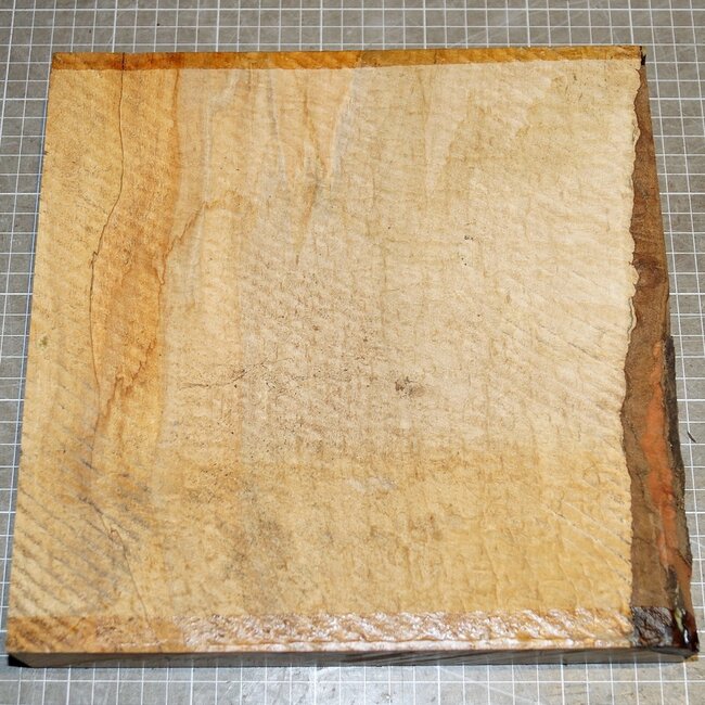 Bergahorn Riegel, ca. 260 x 260 x 43 mm, 1,7 kg