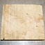 Ash burl, approx. 290 x 260 x 52 mm, 3,0 kg