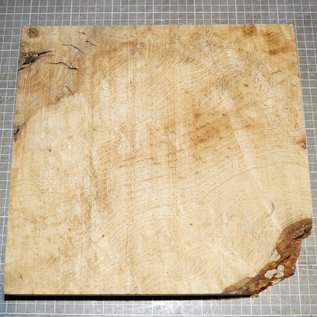 Ash burl, approx. 290 x 280 x 52 mm, 3,1 kg