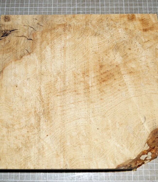 Ash burl, approx. 290 x 280 x 52 mm, 3,1 kg