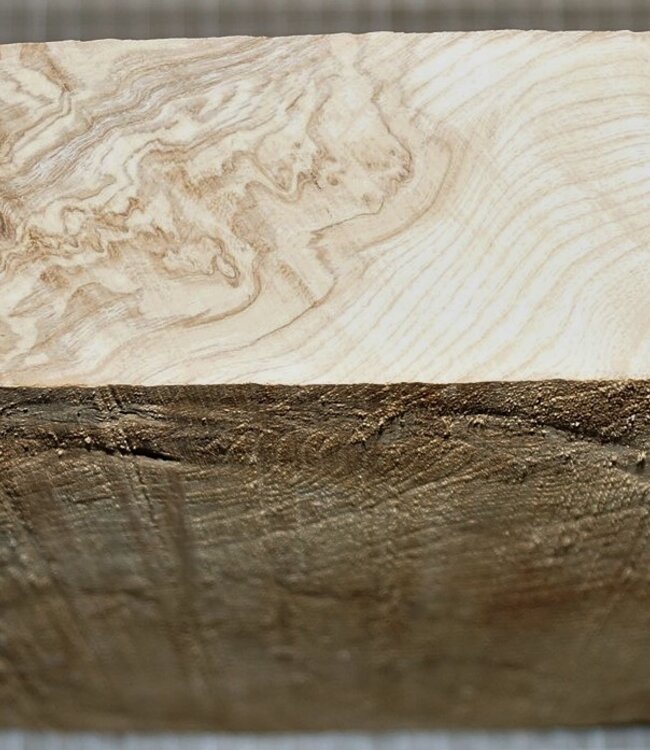 Ash burl, approx. 290 x 280 x 52 mm, 3,1 kg