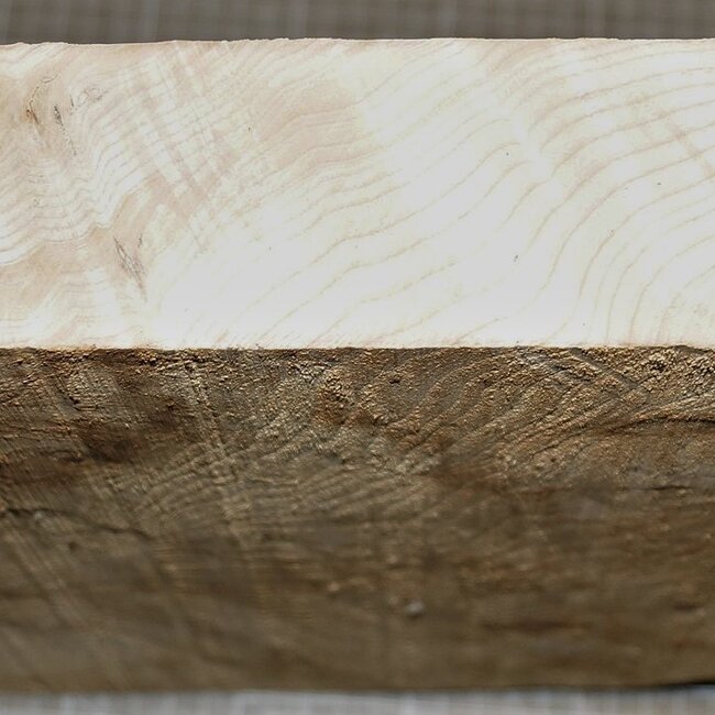 Ash burl, approx. 300 x 300 x 53 mm, 3,4 kg