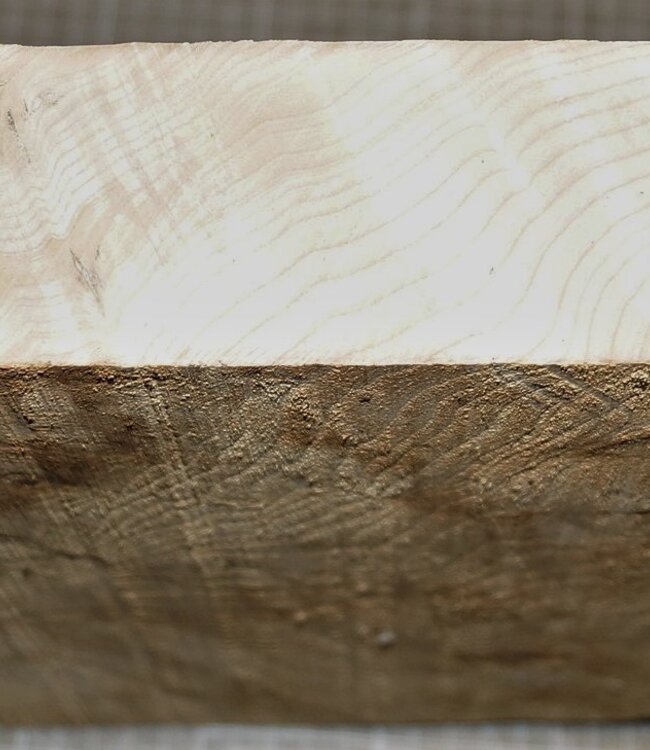 Esche Maser, ca. 300 x 300 x 53 mm, 3,4 kg