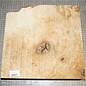 Ash burl, approx. 305 x 300 x 54 mm, 3,2 kg