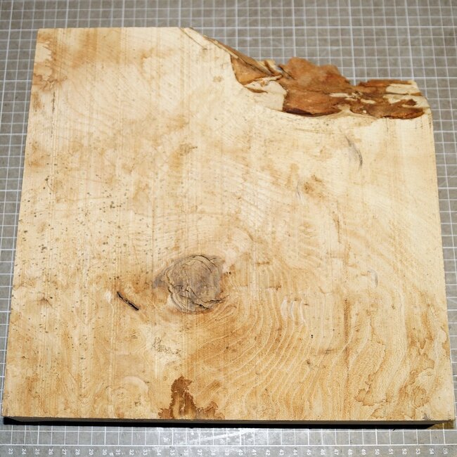 Ash burl, approx. 305 x 300 x 54 mm, 3,2 kg