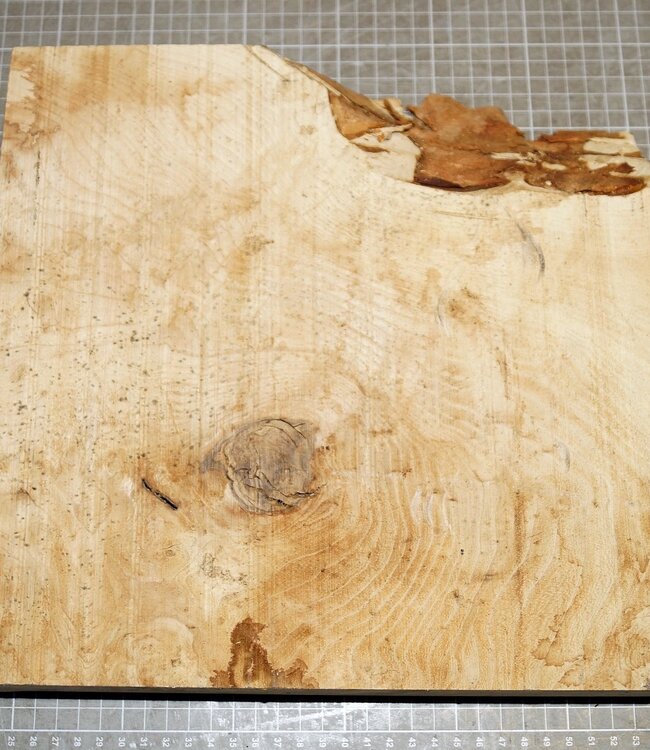 Esche Maser, ca. 305 x 300 x 54 mm, 3,2 kg