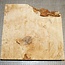 Ash burl, approx. 305 x 300 x 54 mm, 3,2 kg