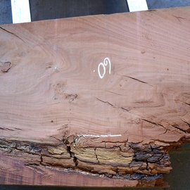 Eucalyptus table top, approx. 1400 x 600(800) x 52 mm, 12639