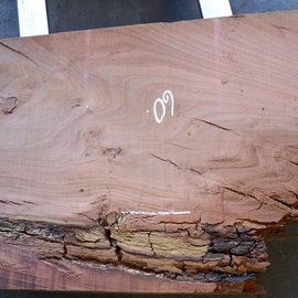 Eucalyptus table top, approx. 1400 x 600(800) x 75 mm, 12639