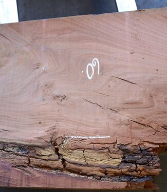 Eucalyptus table top, approx. 1400 x 600(800) x 75 mm, 12639