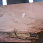 Eucalyptus table top, approx. 1400 x 600(800) x 52 mm, 12639