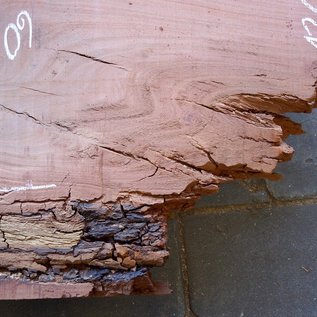 Eucalyptus table top, approx. 1400 x 600(800) x 75 mm, 12639