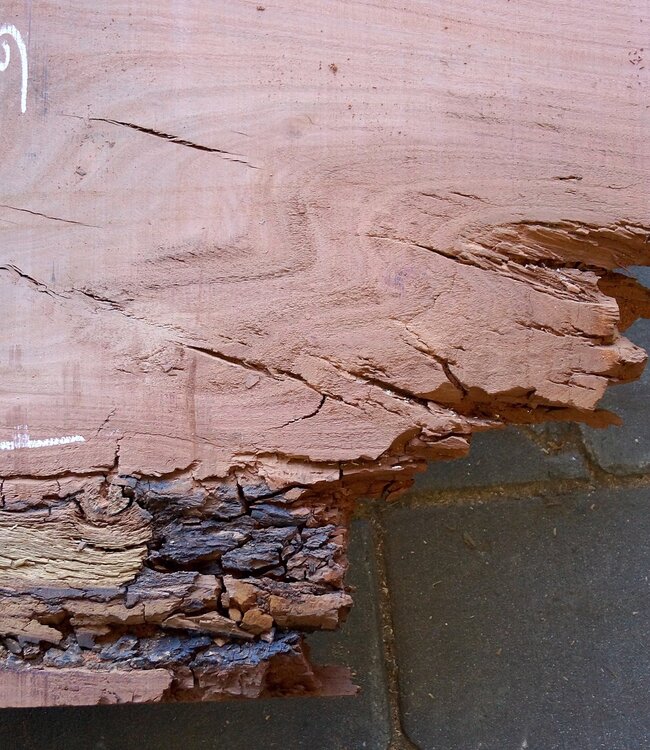 Eucalyptus Tischplatte, ca. 1400 x 600(800) x 75 mm, 12639