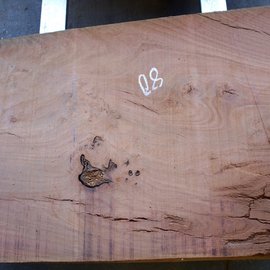 Eucalyptus table top, approx. 1400 x 800(900) x 75 mm, 12640