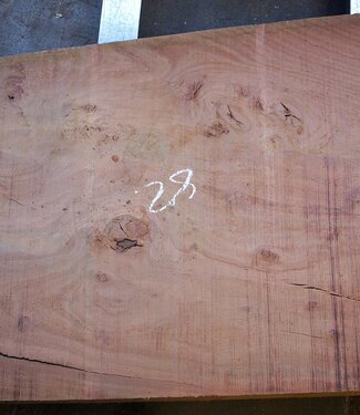 Eucalyptus table top, approx. 1400 x 820(880) x 75 mm, 12641