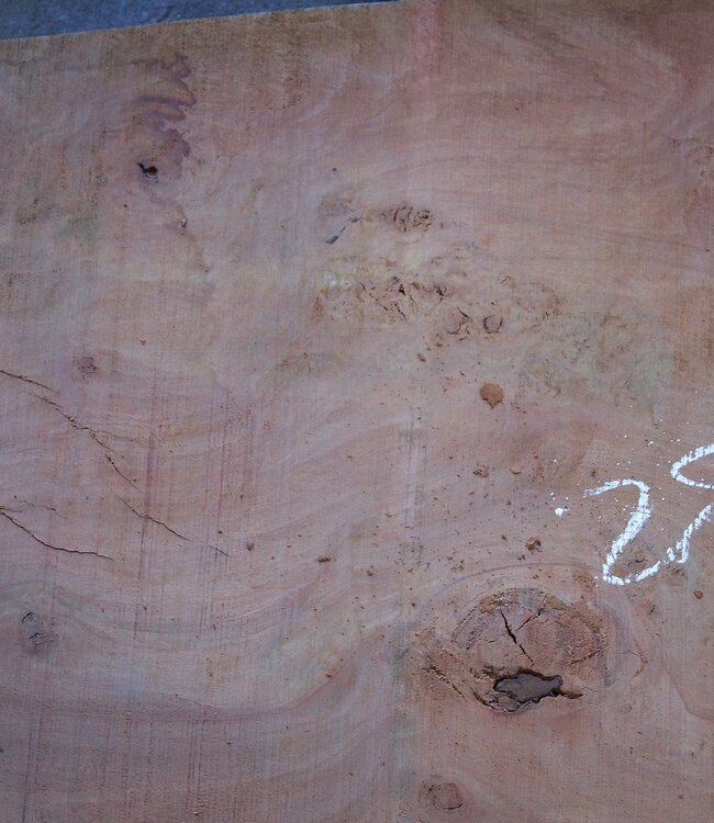 Eucalyptus table top, approx. 1400 x 820(880) x 75 mm, 12641