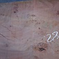 Eucalyptus table top, approx. 1400 x 820(880) x 52 mm, 12641