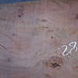 Eucalyptus Tischplatte, ca. 1400 x 820(880) x 75 mm, 12641