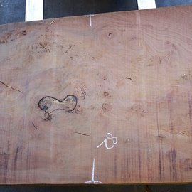 Eucalyptus Tischplatte, ca. 1400 x 820(890) x 75 mm, 12642