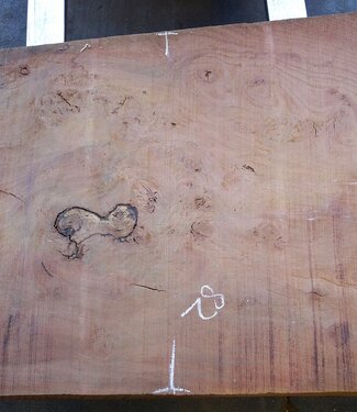 Eucalyptus table top, approx. 1400 x 820(890) x 75 mm, 12642