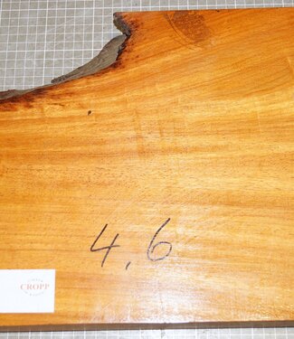 Afzelia, ca. 290 x 290 x 50 mm, 4,6 kg