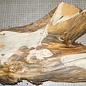 Yew, approx. 450 x 300/190 x 72 mm, 4,7 kg