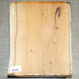 Eibe, ca. 300 x 220 x 85 mm, 3,2 kg