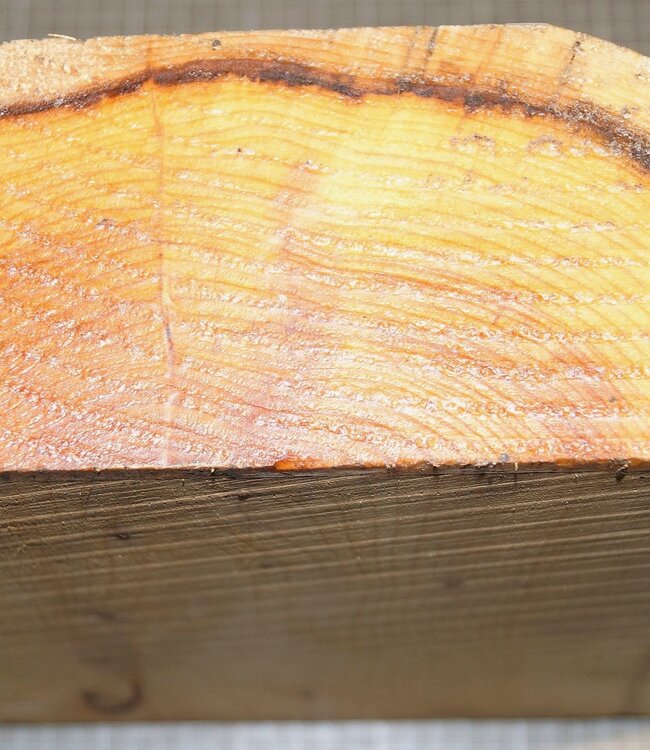 Eibe, ca. 300 x 220 x 85 mm, 3,2 kg