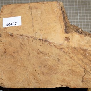 Caniste Burl, approx. 280 x 190 x 160 mm, 4,7 kg