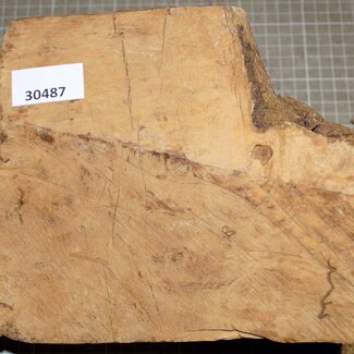 Caniste Maser Knolle, ca. 280 x 190 x 160 mm, 4,7 kg