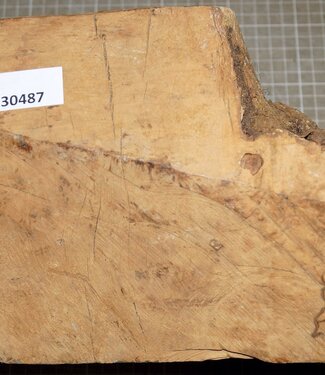 Caniste Maser Knolle, ca. 280 x 190 x 160 mm, 4,7 kg