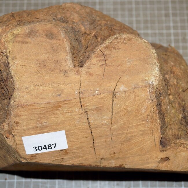 Caniste Maser Knolle, ca. 280 x 190 x 160 mm, 4,7 kg