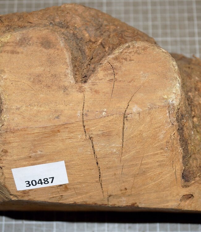 Caniste Burl, approx. 280 x 190 x 160 mm, 4,7 kg