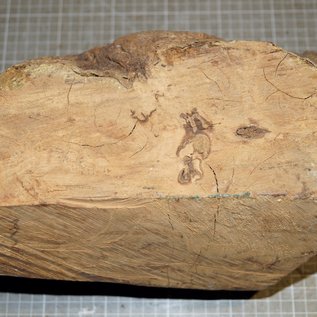 Caniste Burl, approx. 280 x 190 x 160 mm, 4,7 kg