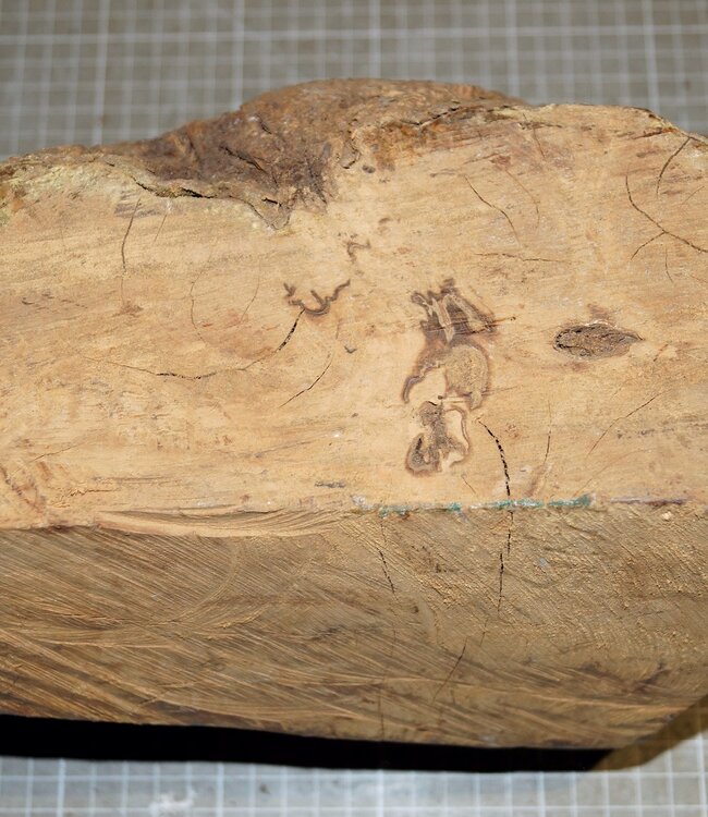 Caniste Maser Knolle, ca. 280 x 190 x 160 mm, 4,7 kg