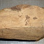 Caniste Burl, approx. 280 x 190 x 160 mm, 4,7 kg