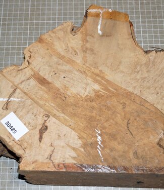 Caniste Burl, approx. 310 x 260 x 80-52 mm, 3,6 kg