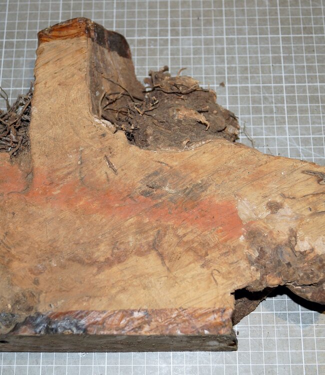 Caniste Maser Knolle, ca. 310 x 260 x 80-52 mm, 3,6 kg