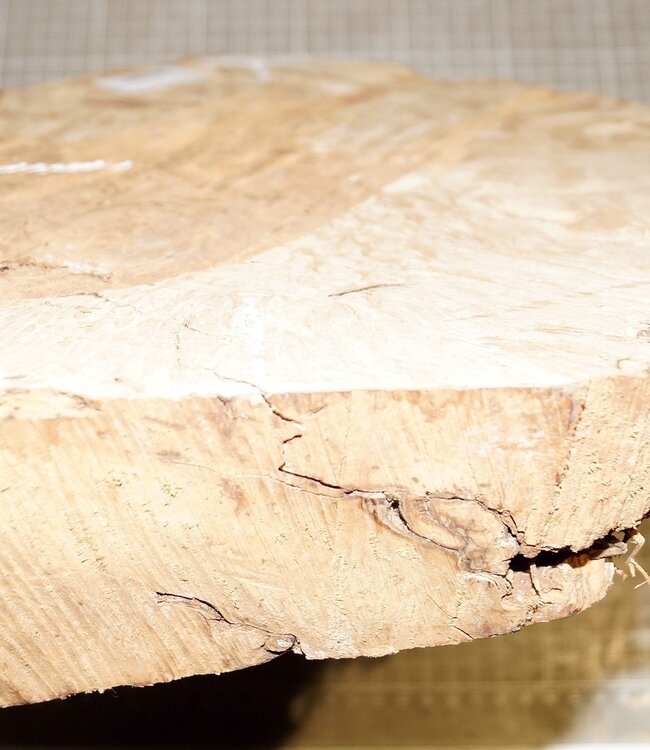 Caniste Maser Knolle, ca. 310 x 260 x 80-52 mm, 3,6 kg