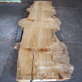Poplar burl, Mappa table top, approx. 3200 x 970(1270) x 80 mm, 12739