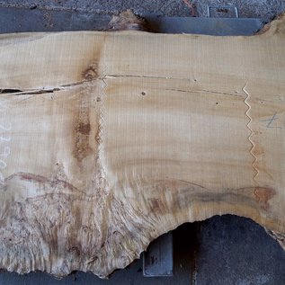 Poplar burl, Mappa table top, approx. 3200 x 970(1270) x 80 mm, 12739