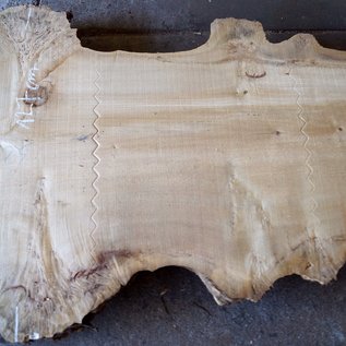 Poplar burl, Mappa table top, approx. 3200 x 970(1270) x 80 mm, 12739