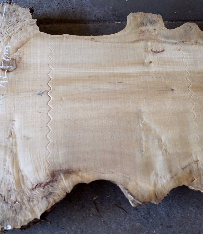 Poplar burl, Mappa table top, approx. 3200 x 970(1270) x 80 mm, 12739