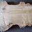 Pappel Maser Tischplatte, ca. 3200 x 970(1270) x 80 mm, 12739