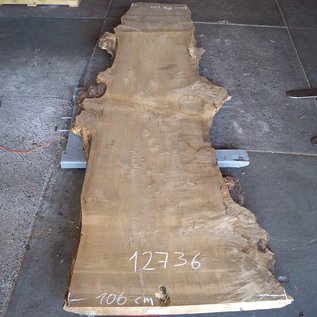 Poplar burl, Mappa table top, approx. 3200 x 850(1120) x 80 mm, 12736