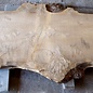 Poplar burl, Mappa table top, approx. 3200 x 850(1120) x 80 mm, 12736