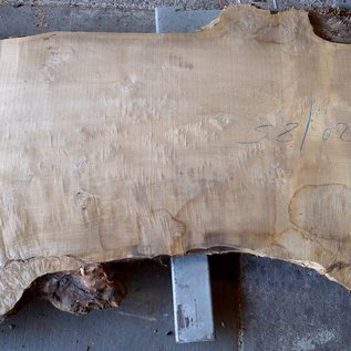 Poplar burl, Mappa table top, approx. 3200 x 850(1120) x 80 mm, 12736